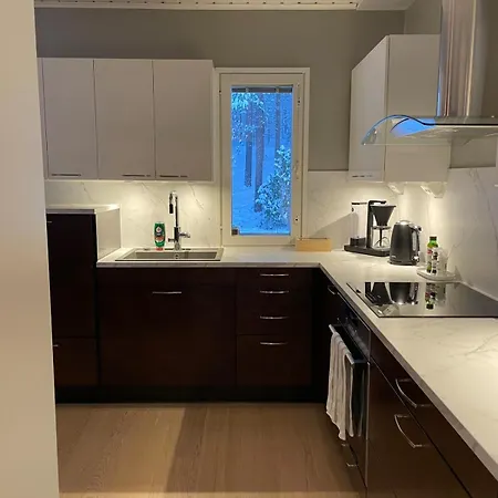 Arctic Haven Harmonious For Groups * Rovaniemi